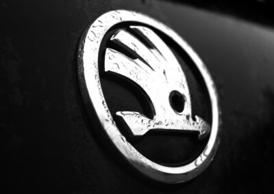 Skodas logo 1
