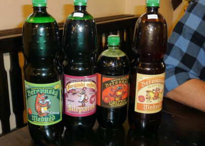 Mikrobryggeri 04